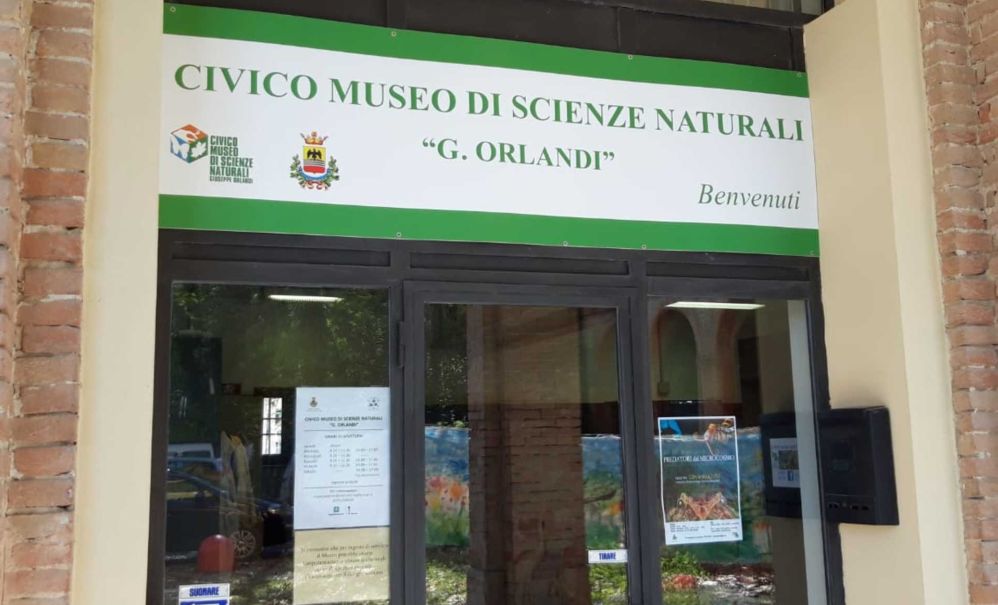 Civico Museo di Scienze Naturali