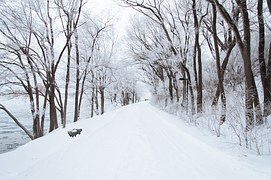 Servizio sgombero neve e antighiaccio 2024-2025